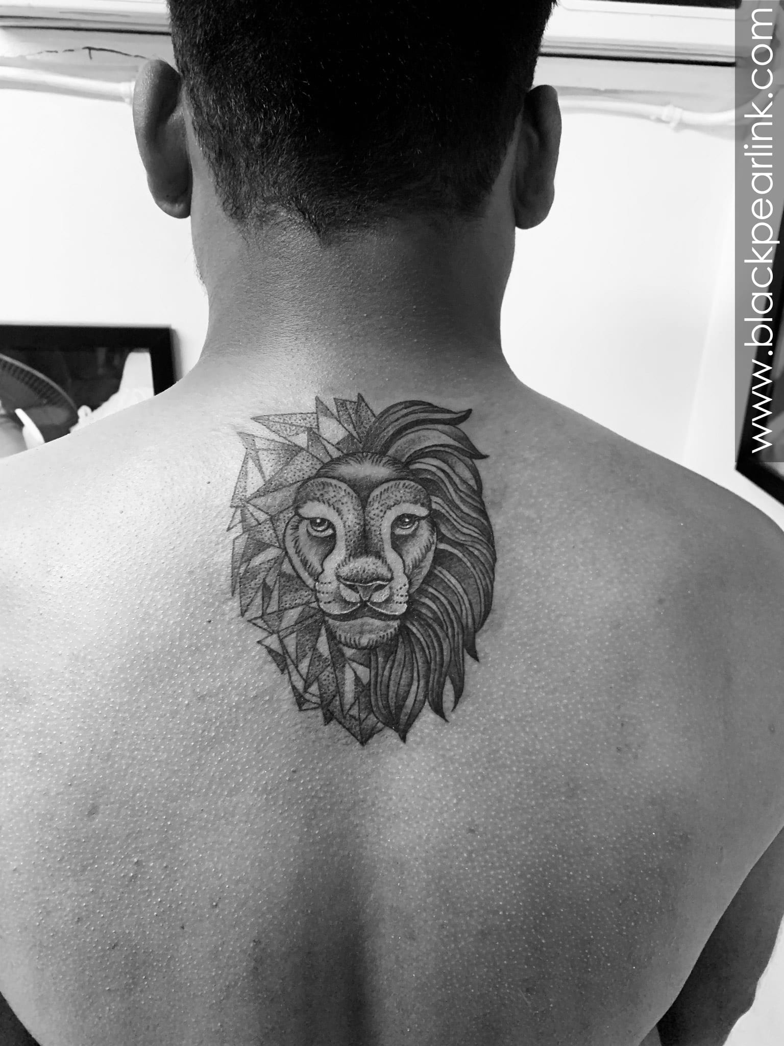 Flash Ink Tattoo Studio  Lion King tattoo done on Johan back thanks for  trust us Johan   Facebook