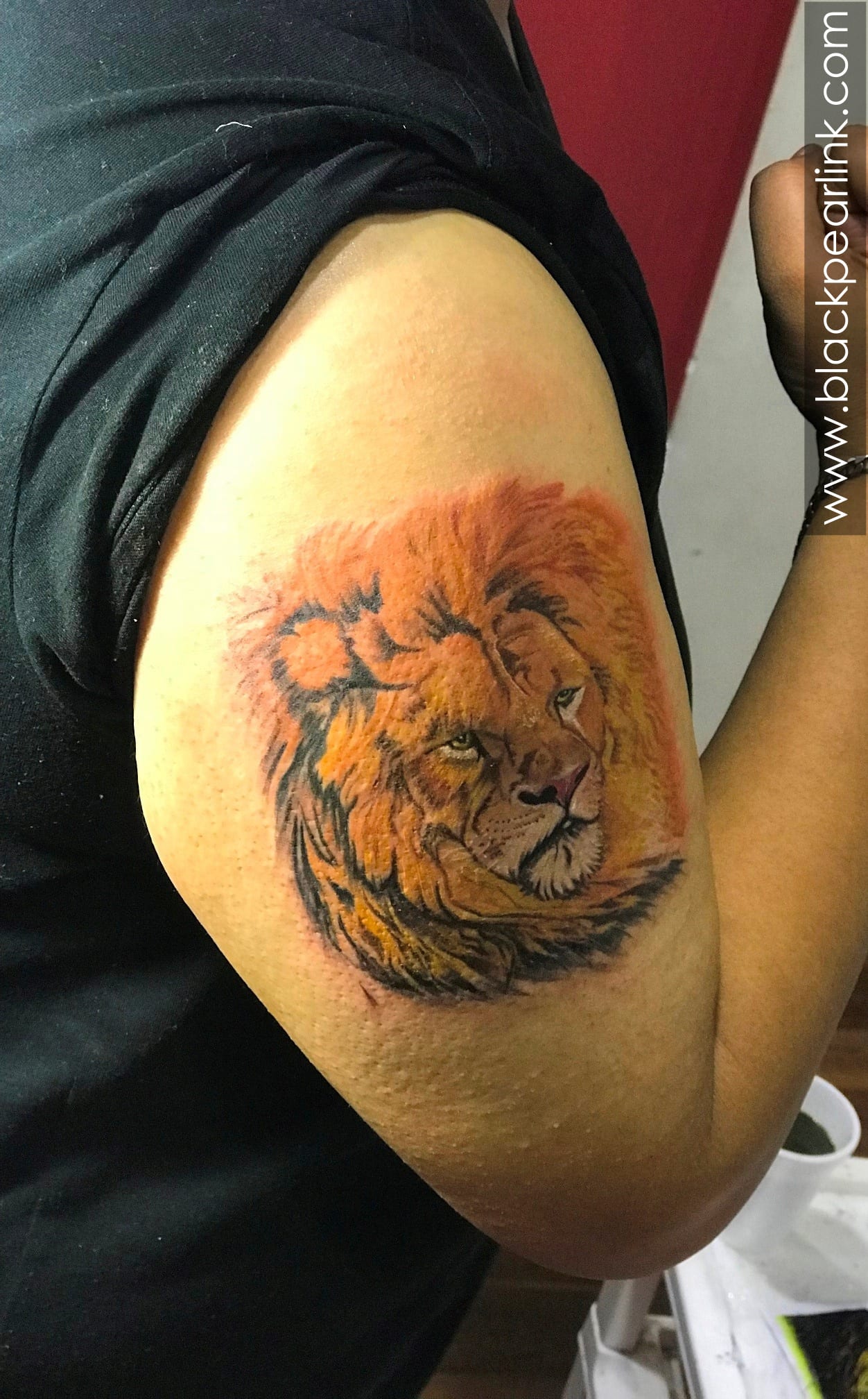 Lion Tattoo in Color on Bicep