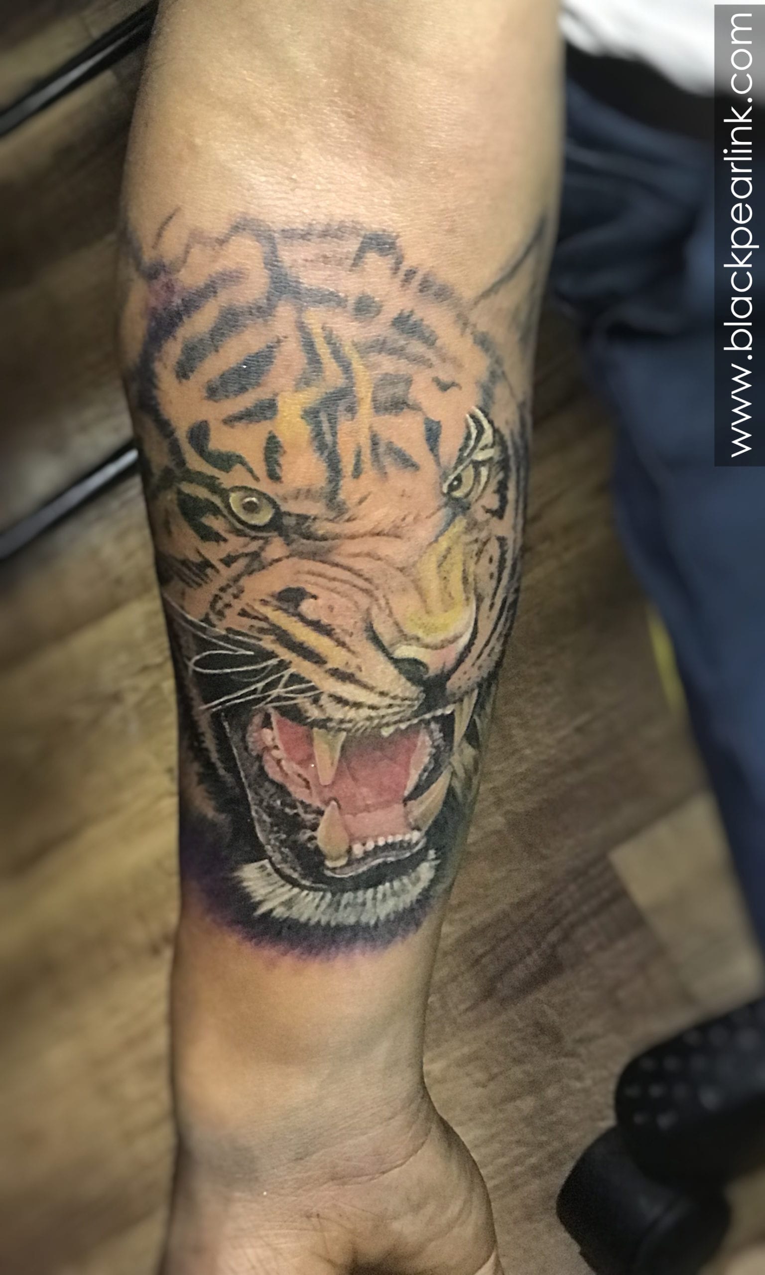 Roaring Tiger Realism Tattoo